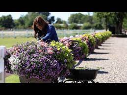 We did not find results for: Planter Update And Maintenance Garden Answer Youtube