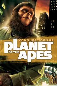 Caesar and his apes are forced into a deadly conflict with an army of humans led by a ruthless colonel. War For The Planet Of The Apes Now Available On Demand