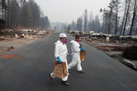 Image result for paradise camp fire recovery