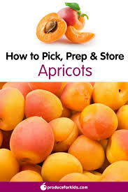 All About Apricots How To Pick Prepare Store Produce For Kids Holistic Nutrition Apricot Nutrition Nutrition