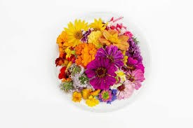 All other taxable goods and services: Why Edible Flowers Are New Culinary Trend And Very Profitable React Green