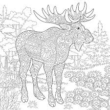 Aimed at children in preschool and kindergarten, these worksheets are full of exciting math and literacy activities to help build these important skills. Moose Woodland Animal Forest Landscape Coloring Page Colouring Picture Adult Coloring Book Idea Freehand Sketch Drawing Vector Illustration Ù…ÙˆÙ‚Ø¹ ØªØµÙ…ÙŠÙ…ÙŠ
