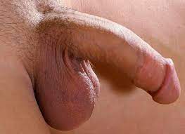 Male Dick Porn | Sex Pictures Pass