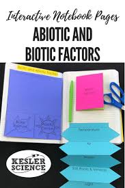 Abiotic And Biotic Factors Worksheet Ecosystems Interactive Notebook Pages With Images In 2020 Life Science Middle School Interactive Notebooks Science Lessons