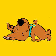 Scrappy Doo Found Dead In Miami Explained