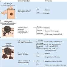 At skin clinic, we work for your health. Frontiers Molecular Biomarkers For Melanoma Screening Diagnosis And Prognosis Current State And Future Prospects Medicine
