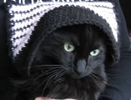 Gege Crochet Holy Julie Newmar Batman Crochet Cat Hat Cat Hat Crochet Cat