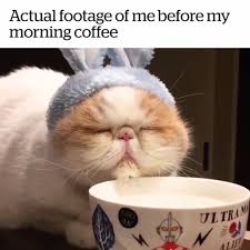 Image result for wednesday morning coffee memes