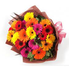 The Meaning Of Flowers Gerberas