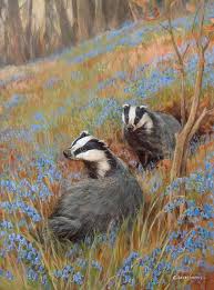 Pin By Sophie Thunder On Borsuki In 2020 Wildlife Art Animal Painter Badger Illustration