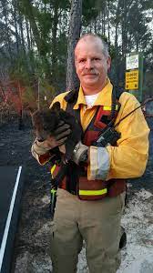 SO CUTE! Firefighters in Florida said a baby bear cub was saved after  suffering slight burns to its paws and face during a wildfire. The mother  bear was nowhere to be found.