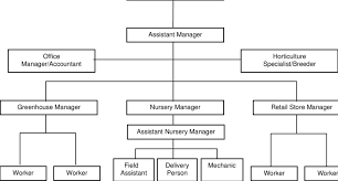 Line And Staff Organization Structure Download Scientific