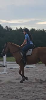 Video On How To Sit The Trot On A Bouncy Horse - Smartpak