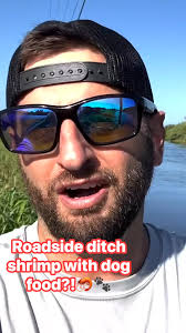 Catching shrimp out of a roadside ditch with dog food as bait?! 👀🦐  #shrimp #dogfood