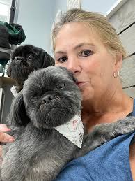 Dog Grooming Services in Hampstead, NC