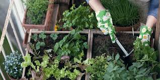 Do you know what the best feature is in all new square foot gardening? Best Gardening Books In 2021