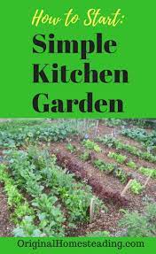 How To Plant A Kitchen Garden Kitchen Garden Potager Garden Home Vegetable Garden