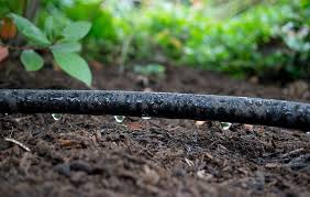 Drip irrigation can use either pvc pipe or polyethylene tubing (or a combination of both). How To Install A Drip Irrigation System In Your Garden Soaker Hose Tips