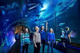 Hours may change under current circumstances Johnny Morris Wonders Of Wildlife National Museum And Aquarium Springfield 2021 All You Need To Know Before You Go With Photos Tripadvisor