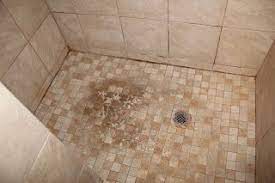 Wet Forget For Easy Shower Cleaning Shower Cleaner Cleaning Shower Tiles Shower Floor