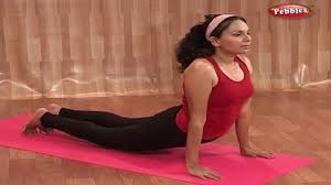 Yoga For Heart Diseases High Bp Surya Namaskar Yoga In Hindi Youtube