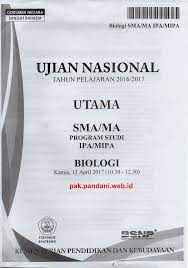 Jika kita amati di bawah mikroskop, terlihat seperti gambar berikut. Download Soal Un Biologi Sma Tahun Pelajaran 2016 2017 Paket Soal 1 Blog Pak Pandani