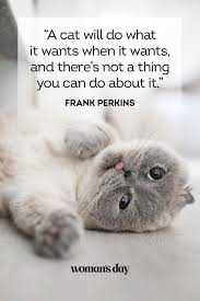 Maybe you would like to learn more about one of these? 38 Best Cat Quotes Cute Cat Sayings To Describe Your Kitten