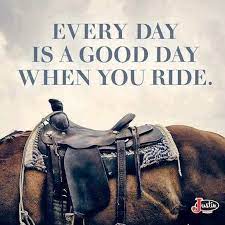 It consists of different modalities where horse riding basically consists of maintaining precise control over a horse. Get Your Free Online Horse Riding Lesson At Www Lighthandsequitation Com We Share Riding Training Horse Riding Quotes Inspirational Horse Quotes Horse Quotes