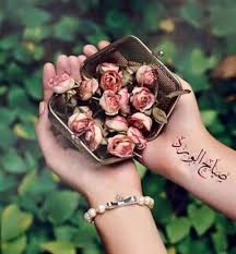 صباح الورد beautiful morning good morning morning quotes