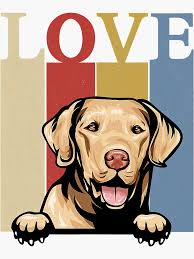 German Bay Merch & Gifts for Sale