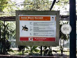 Harga tiket terkini dan terbaharu untuk masuk ke zoo negara telah dikurangkan. Jalan Jalan Di Taman Burung Kuala Lumpur Kl Bird Park Ana Suhana