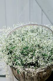 Alibaba.com offers 4,600 frost diamond products. Snotorel Diamond Frost Odla Nu