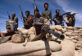 Check spelling or type a new query. Tydzien Z Gra Medal Of Honor Znaj Swojego Przeciwnika Czyli Talibowie