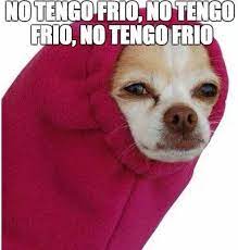 No Tengo Frio No Tengo Frio Chistes De Frio Memes De Frio Imagenes De Frio