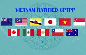 For the remaining parties (brunei darussalam. Vietnam Has Signed Cptpp Comprehensive And Progressive Agreement For Trans Pacific Partnership