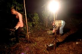 Long ago, polynesian voyagers traded various goods it was from here that the sweet potato was introduced to the islands, and is also where the original. How I Ended Up Planting Potatoes At Midnight In Niue Deviating The Norm