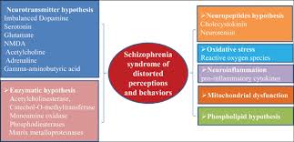 Doctors often describe schizophrenia as a type of psychosis. Role Of Neurochemicals In Schizophrenia Bentham Science