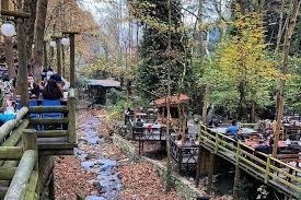 When you're traveling from istanbul to sapanca, you can expect to pay an average of approximately $ 7.37. Sapanca Day Trip From Istanbul 2021