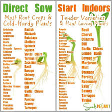 nice chart garden starting seeds indoors growing