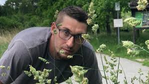 Pollen season especially bad for Windsor-Essex allergy sufferers