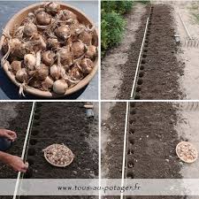 Epingle Sur Culture Des Legumes Aromates Petits Fruits Etc