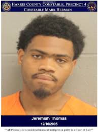 CONSTABLES NAB EVADING SUSPECTS! On May 29, 2025, deputies with Constable  Mark Herman's Office responded to the 5300 block of Dawnburst Drive in  reference to an in progress call where multiple male