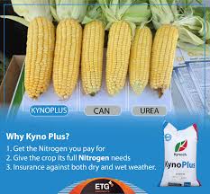 Maybe you would like to learn more about one of these? Etg Agri Inputs Zambia Kynoplus Is A Granular Urea Fertilizer Which Is Treated With Agrotain An Additive That Limits Nitrogen Losses For Your Top Dressing Fertilizer And That Nitrogen Power Source