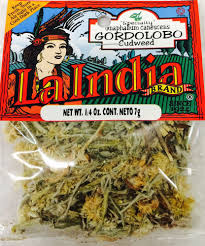 Image result for Loxodera bovonei