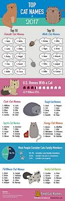 These female names ranked the highest in 2019,. Top Cat Names Of 2017 The Purrington Post