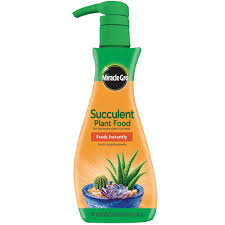 Organic succulent and cactus soil by bliss gardens. Miracle Gro Succulent Plant Food 8 Oz Shopee Philippines