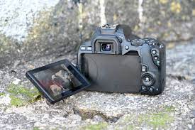 Canon 250D Review | Trusted Reviews