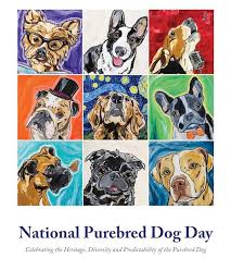 Let's see your purebred pups!