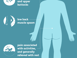 The calf muscle, on the back of the lower leg, is actually made up of two muscles: Low Back Strain Treatment Of Back Muscle Injuries