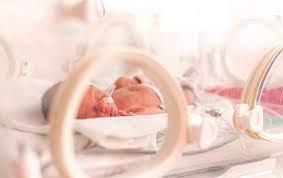 1 842 Baby Incubator Stock Photos Pictures Royalty Free Images Istock